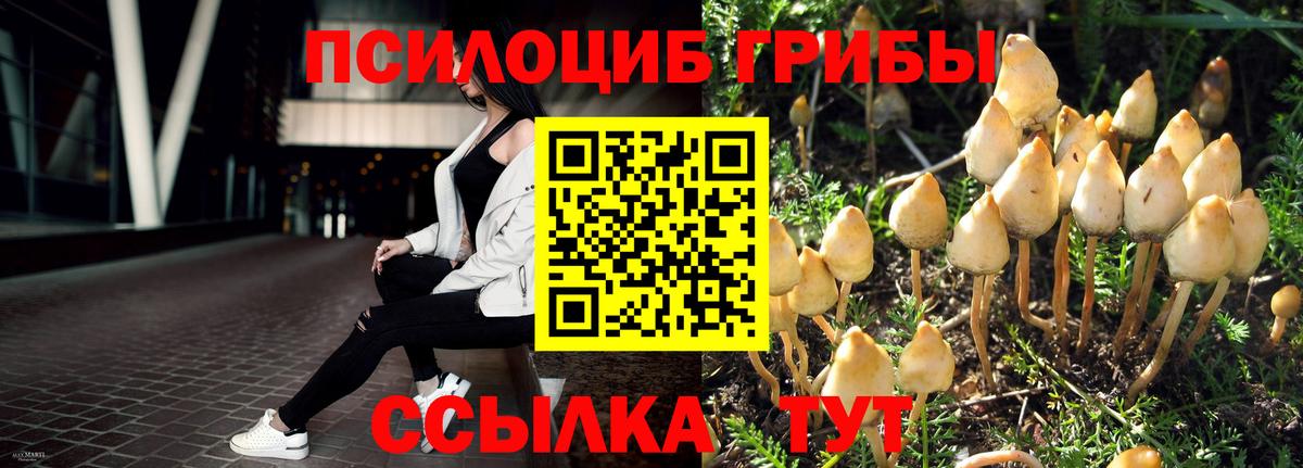 Похвистнево  Галлюциногенные грибы Magic Shrooms  Вход с VPN 