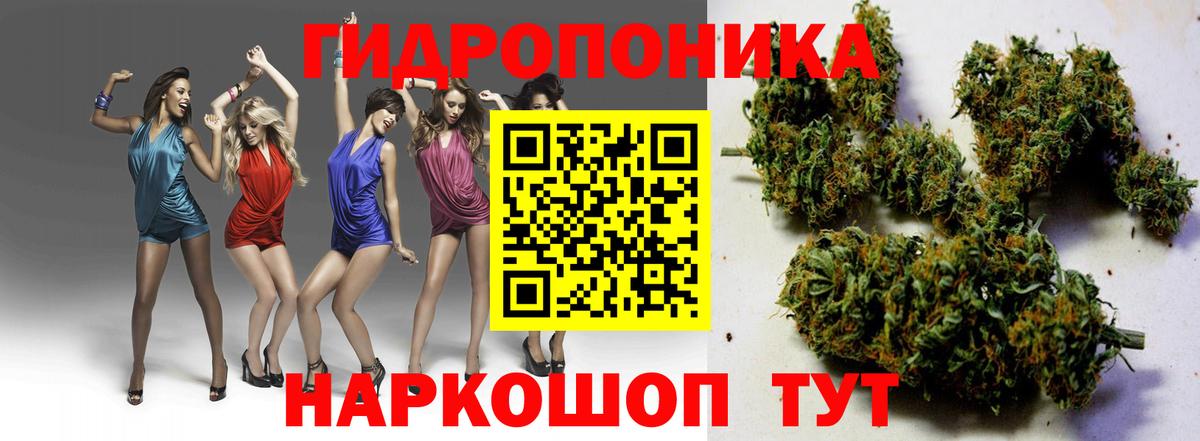 Бошки марихуана план  Вход с VPN  Похвистнево  Бошки Шишки VHQ 